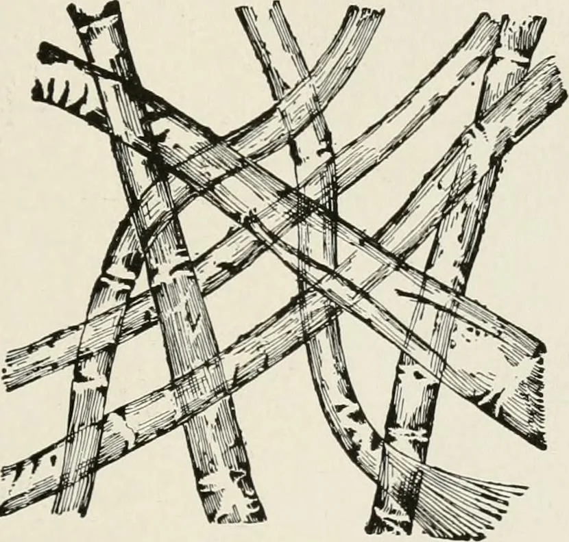An illustration from Textiles and clothing, by Kate Heintz Watson, 1914, leaf 62