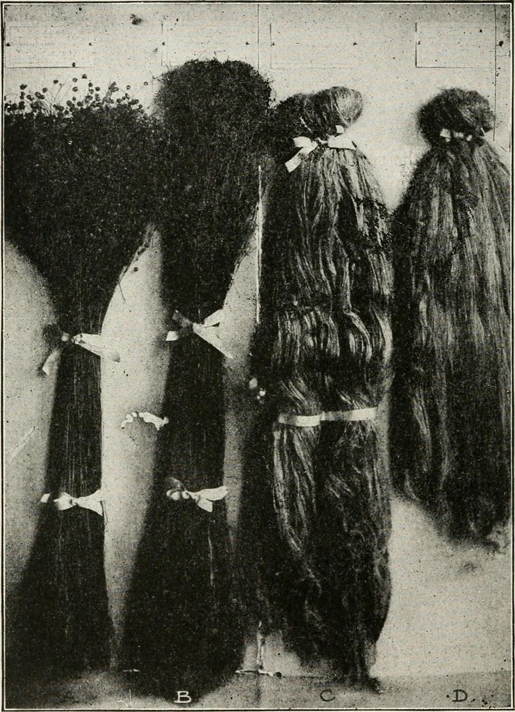 An illustration from Textiles and clothing, by Kate Heintz Watson, 1914, leaf 63