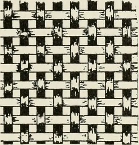 An illustration from Textiles and clothing, by Kate Heintz Watson, 1914, leaf 88
