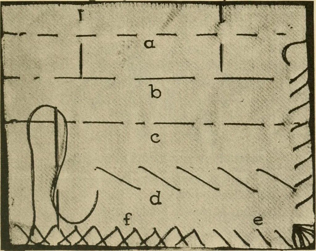 An illustration from Textiles and clothing, 1910, leaf 116