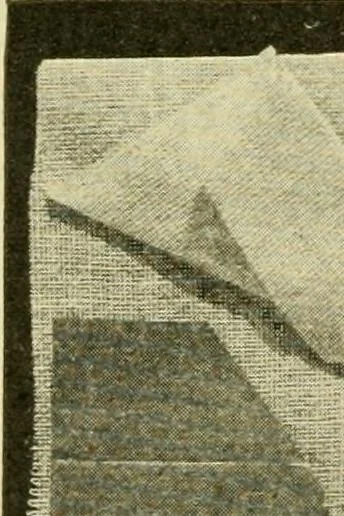 An illustration from Textiles and clothing, 1910, leaf 131