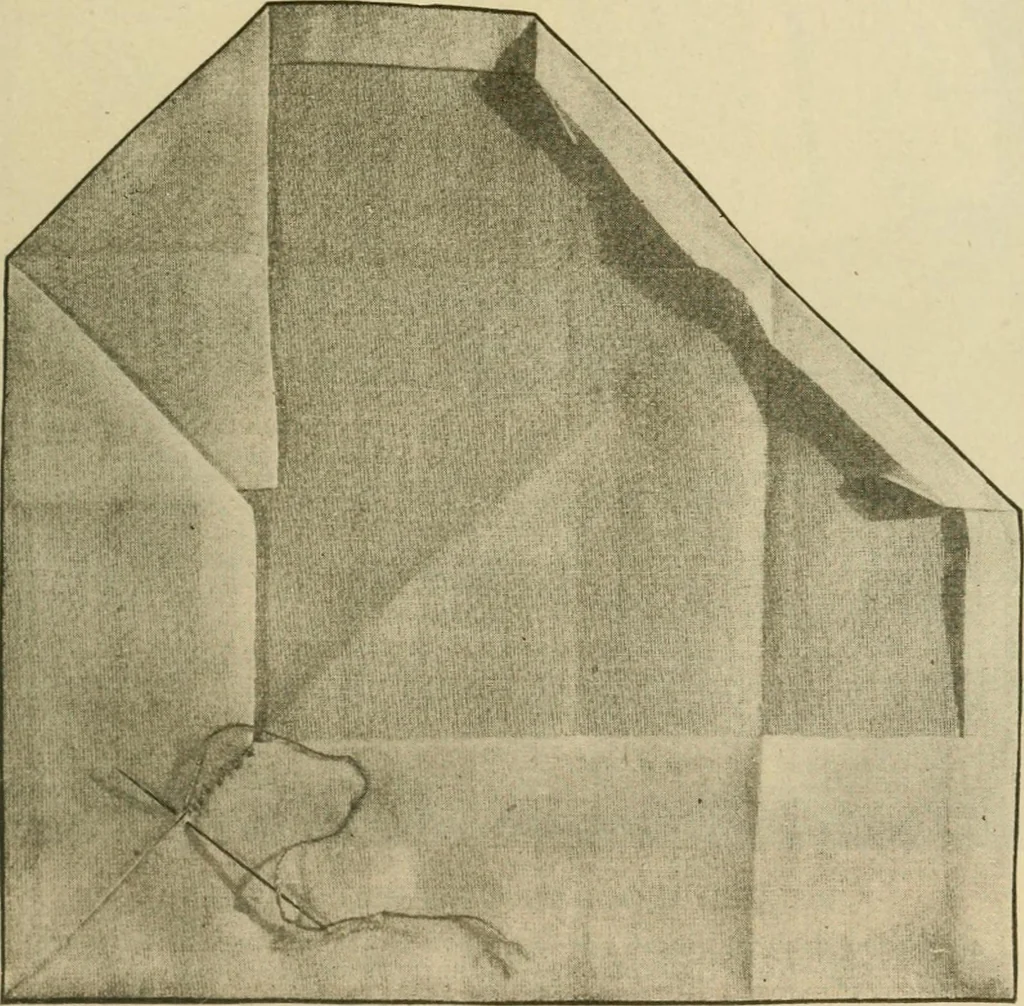 An illustration from Textiles and clothing, 1910, leaf 132