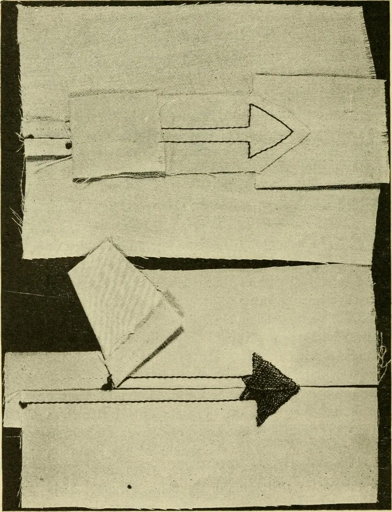 An illustration from Textiles and clothing, 1910, leaf 139