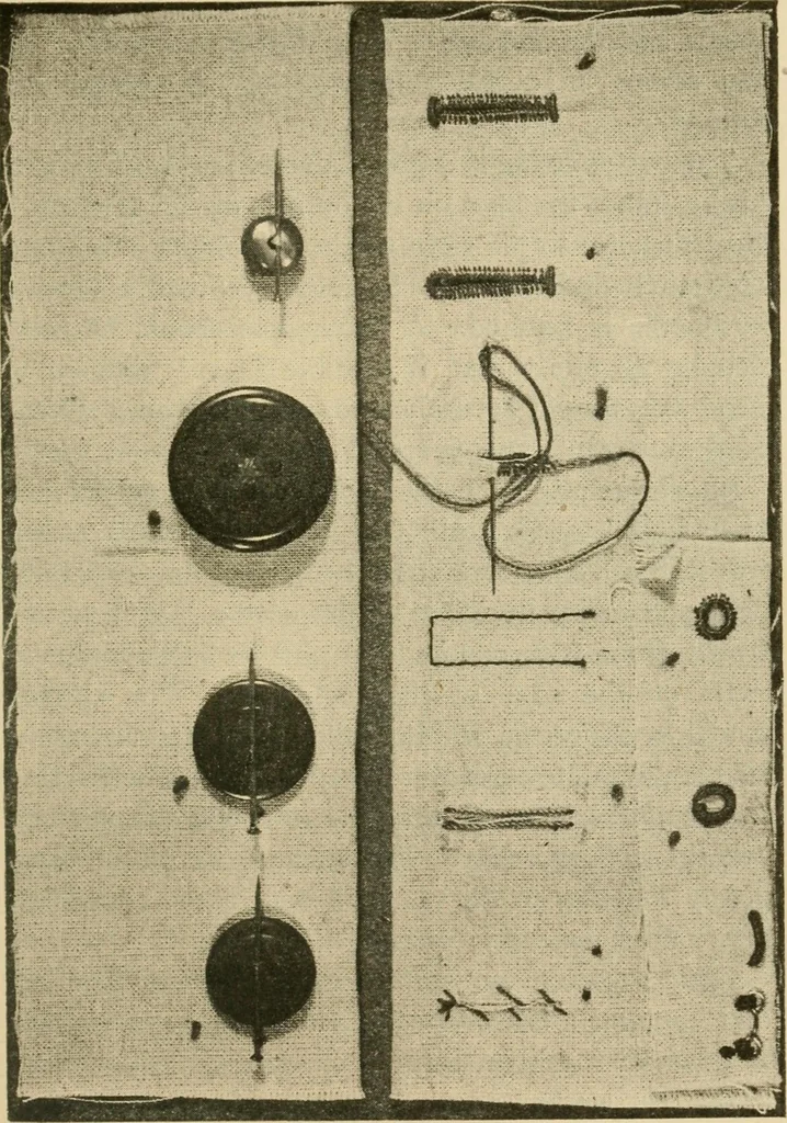 An illustration from Textiles and clothing, 1910, leaf 150