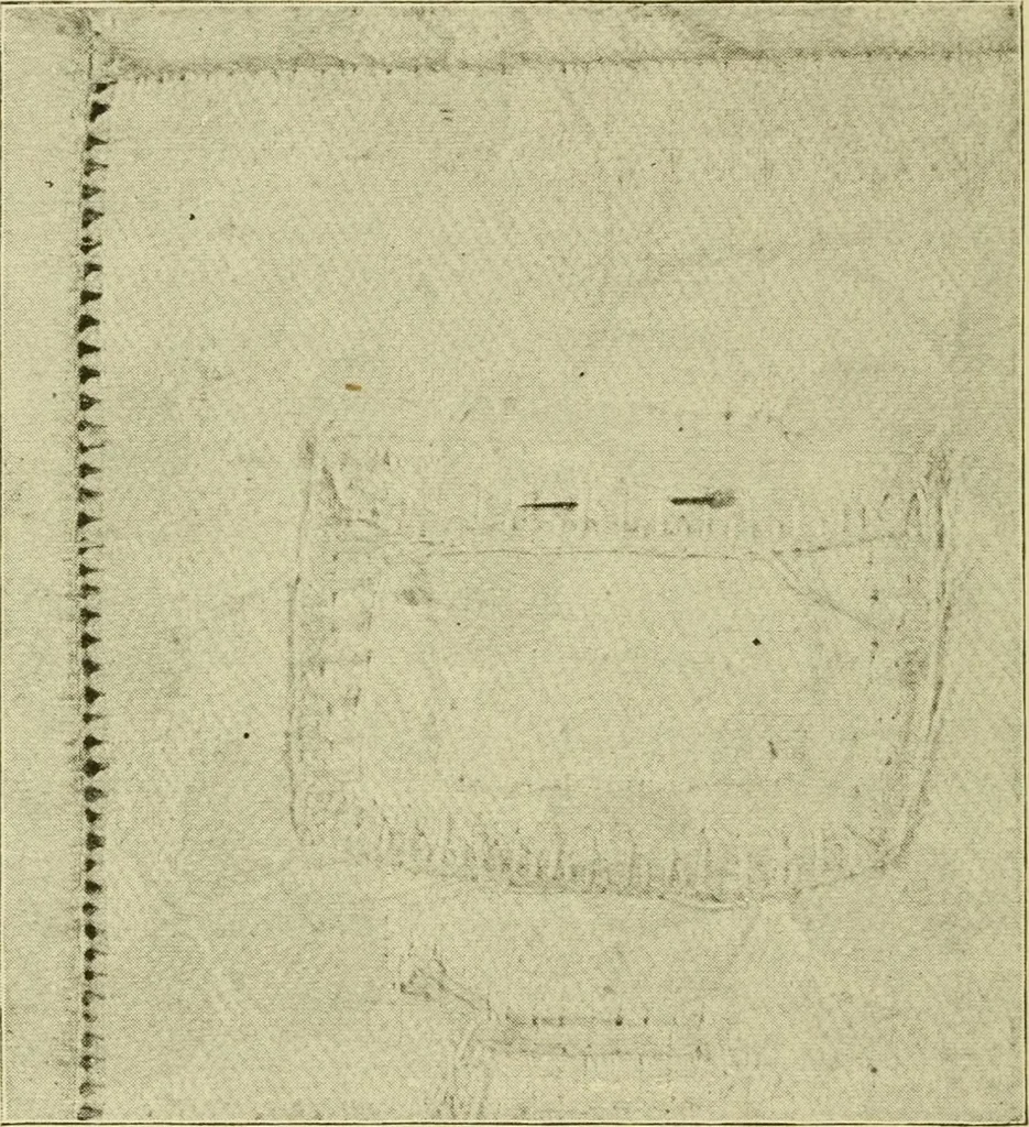 An illustration from Textiles and clothing, 1910, leaf 159