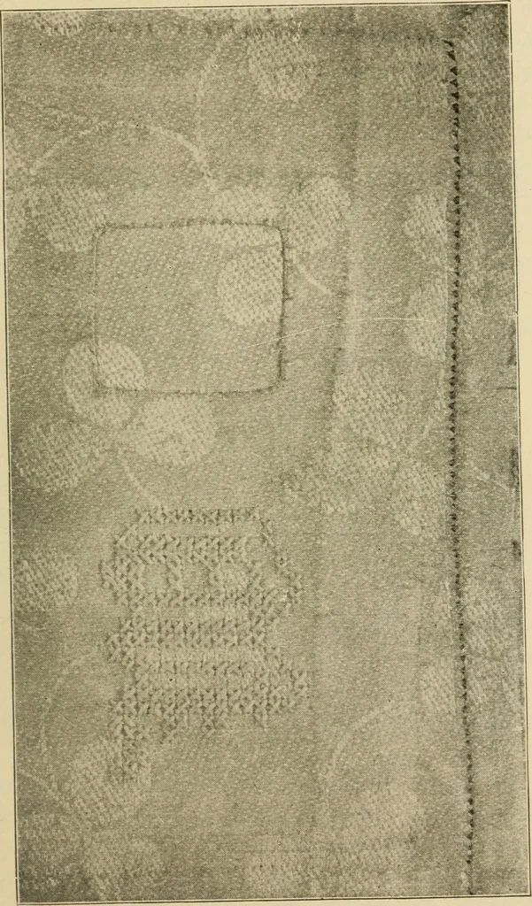 An illustration from Textiles and clothing, 1910, leaf 160