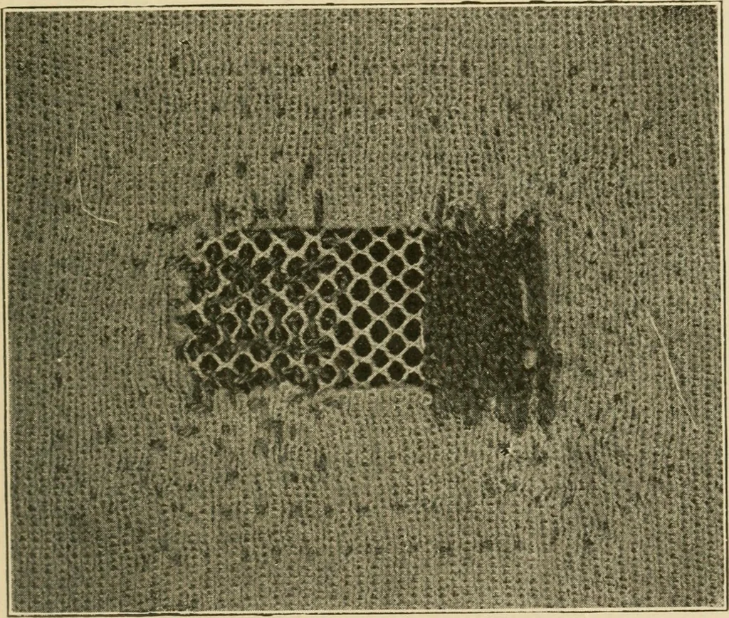 An illustration from Textiles and clothing, 1910, leaf 164