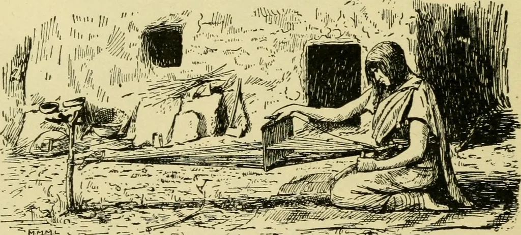 An illustration from Textiles and clothing, 1910, leaf 17
