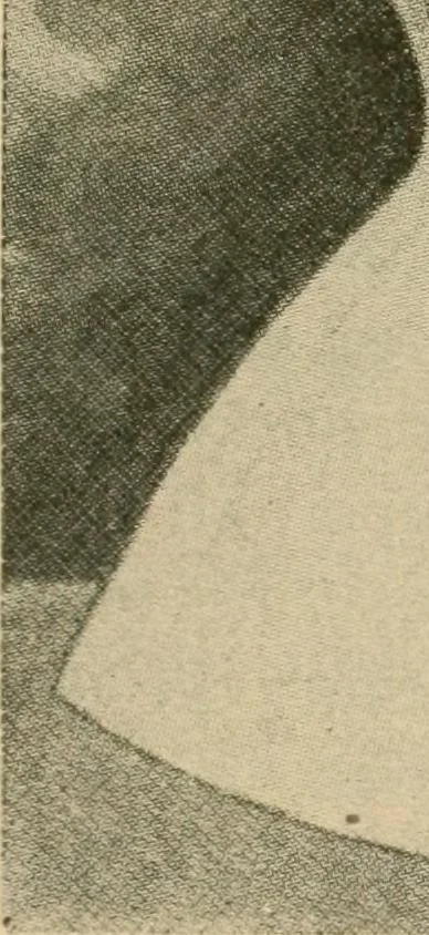 An illustration from Textiles and clothing, 1910, leaf 180