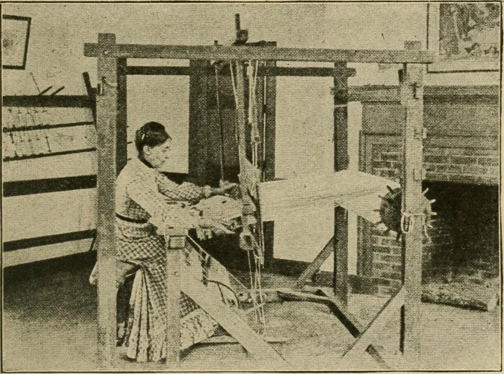 An illustration from Textiles and clothing, 1910, leaf 22