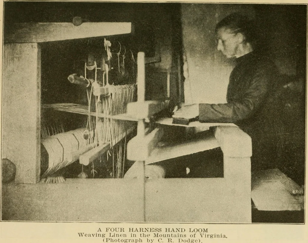 An illustration from Textiles and clothing, 1910, leaf 24