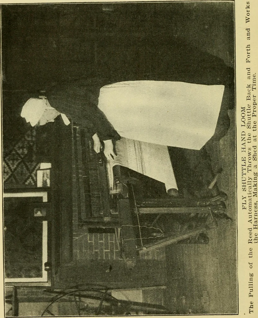 An illustration from Textiles and clothing, 1910, leaf 29