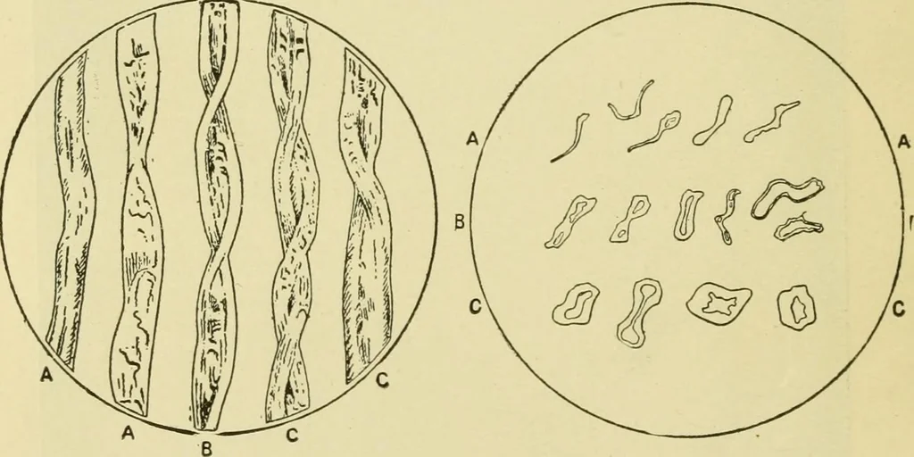 An illustration from Textiles and clothing, 1910, leaf 37