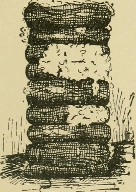 An illustration from Textiles and clothing, 1910, leaf 38