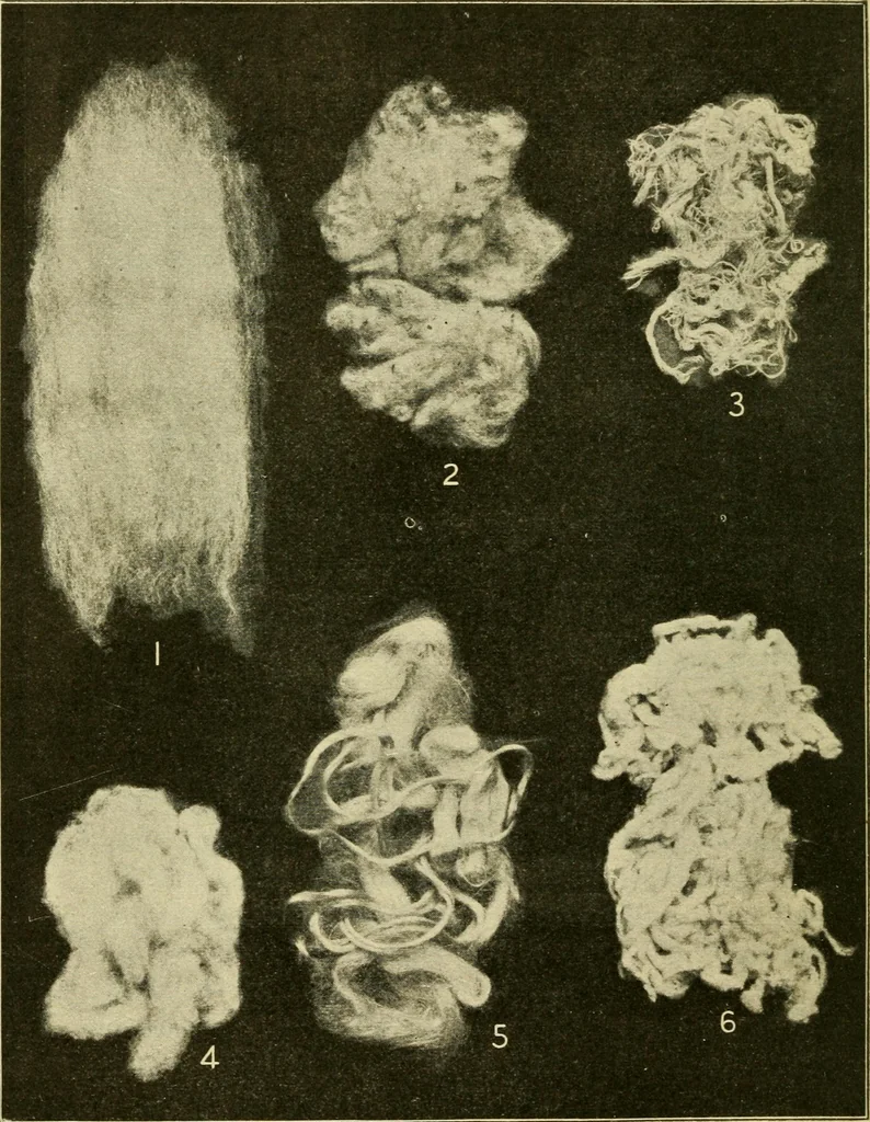 An illustration from Textiles and clothing, 1910, leaf 39