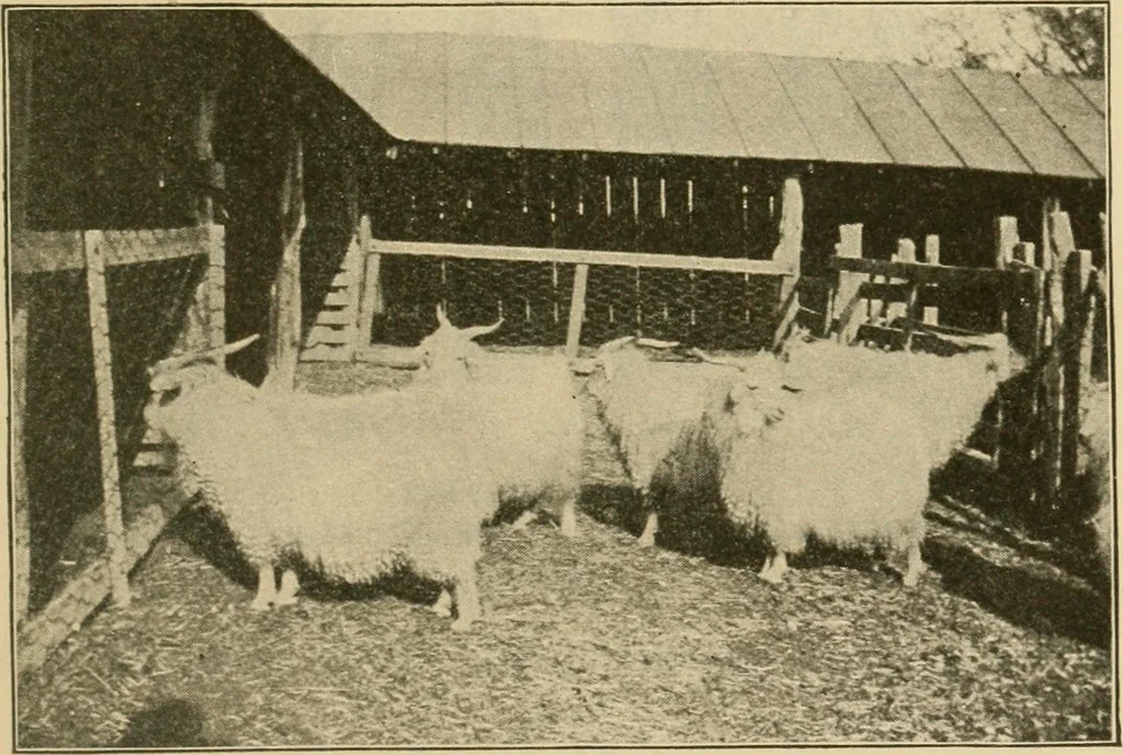 An illustration from Textiles and clothing, 1910, leaf 42