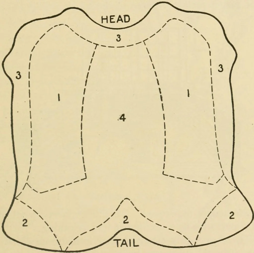 An illustration from Textiles and clothing, 1910, leaf 44
