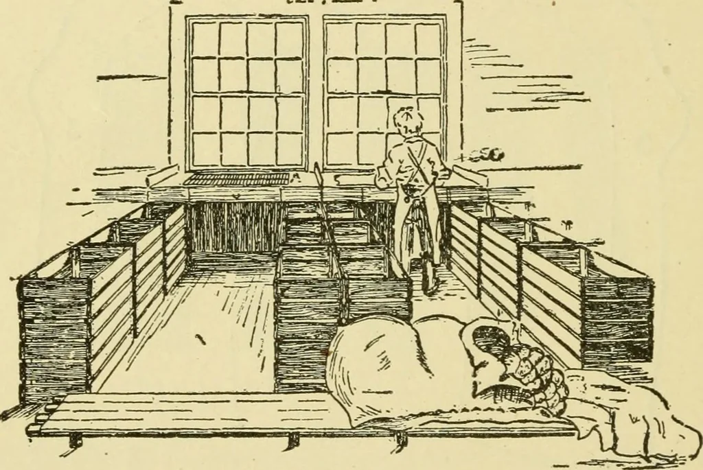 An illustration from Textiles and clothing, 1910, leaf 45