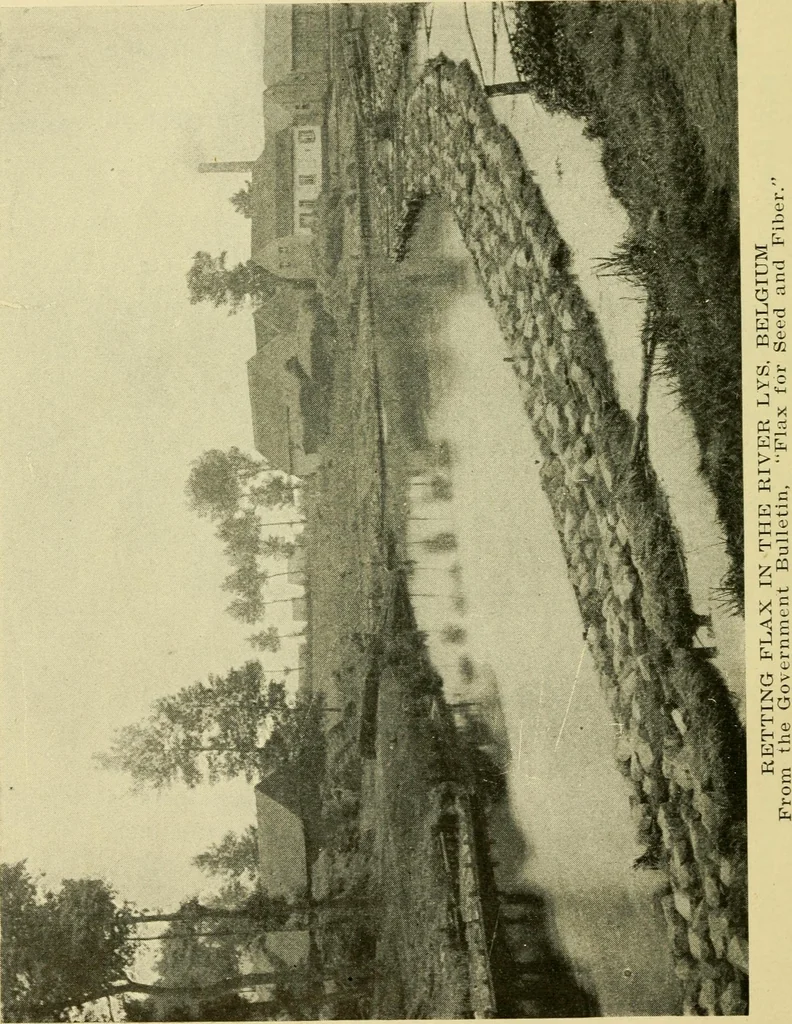 An illustration from Textiles and clothing, 1910, leaf 49