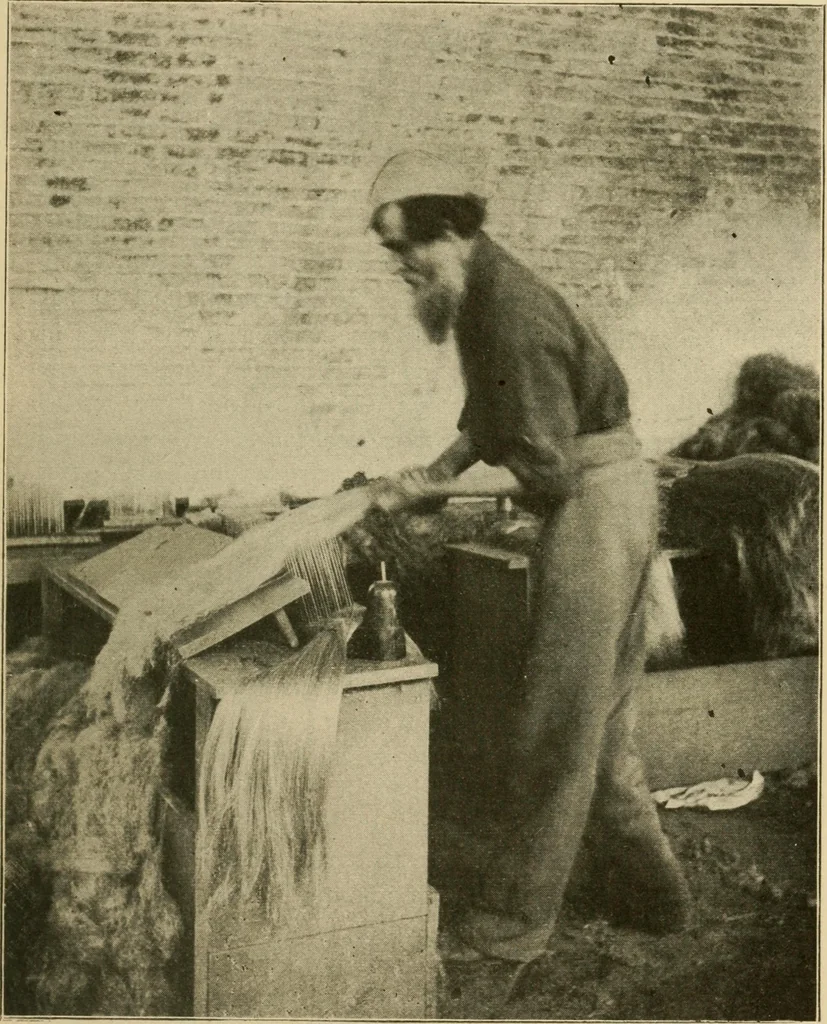 An illustration from Textiles and clothing, 1910, leaf 52