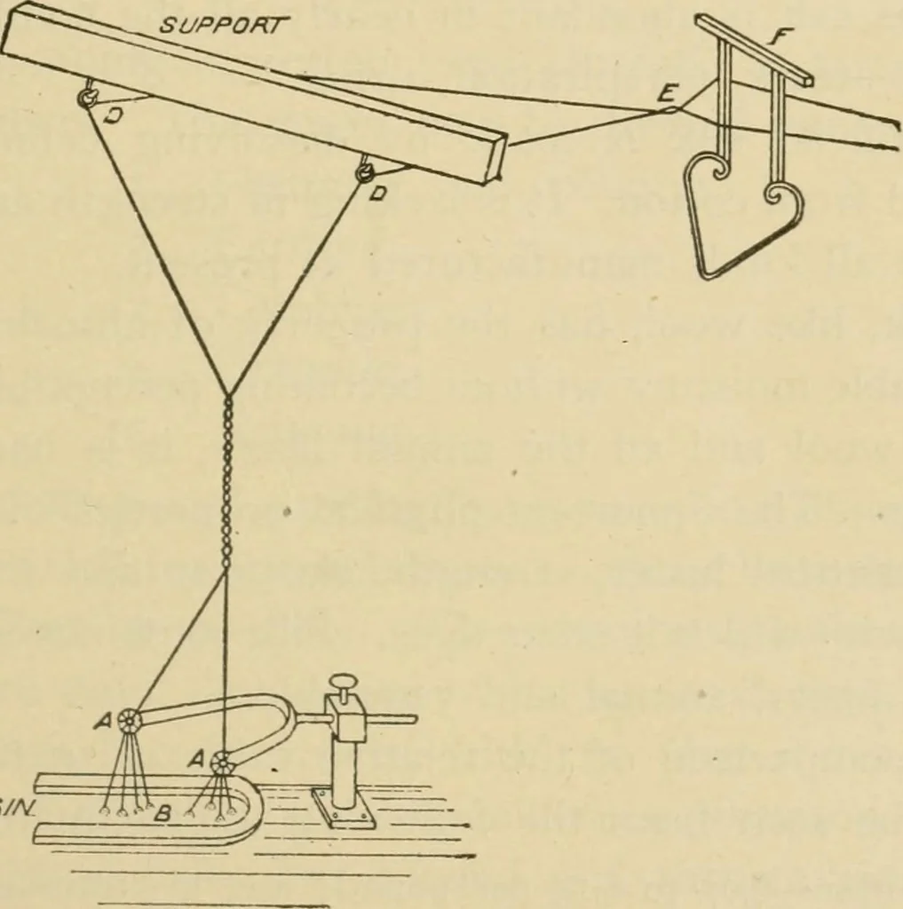 An illustration from Textiles and clothing, 1910, leaf 60
