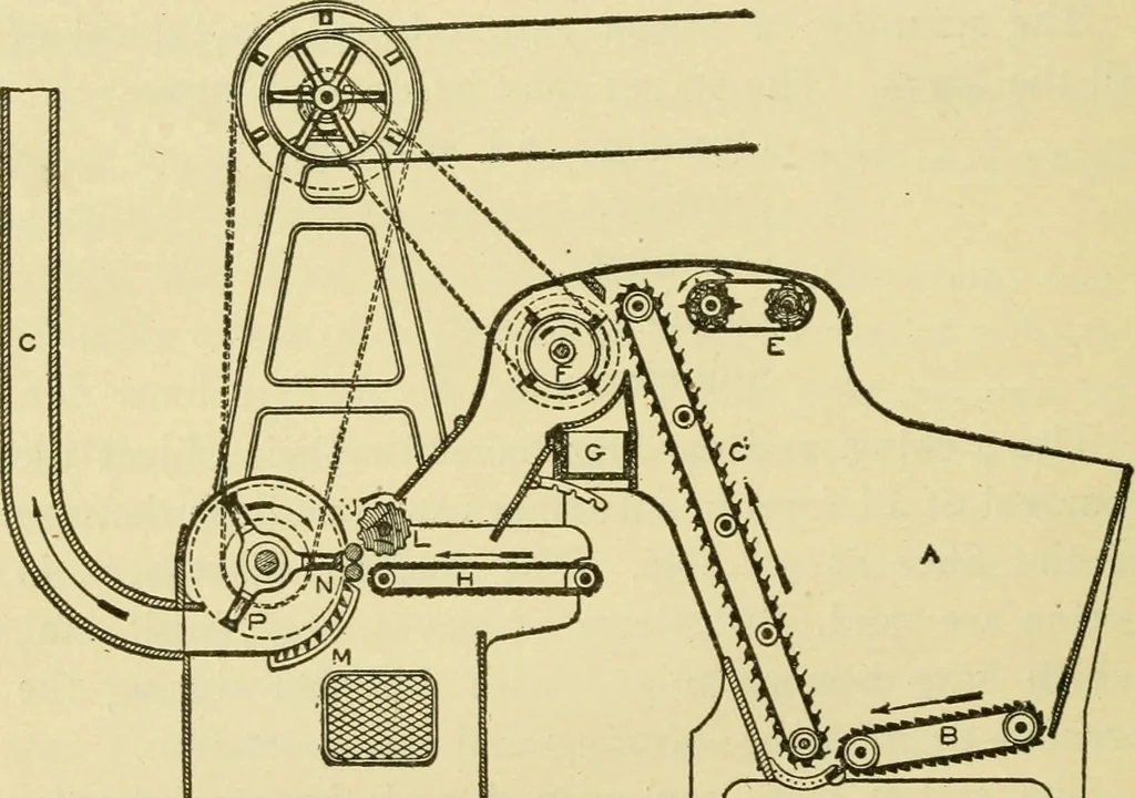 An illustration from Textiles and clothing, 1910, leaf 63