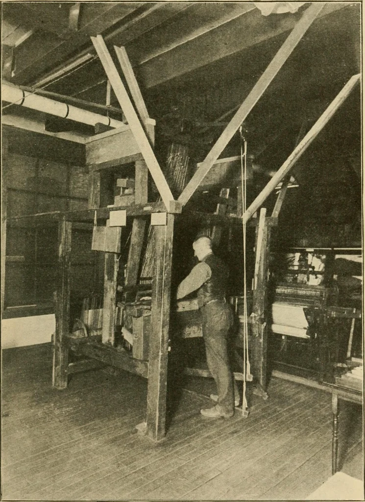 An illustration from Textiles and clothing, 1910, leaf 74