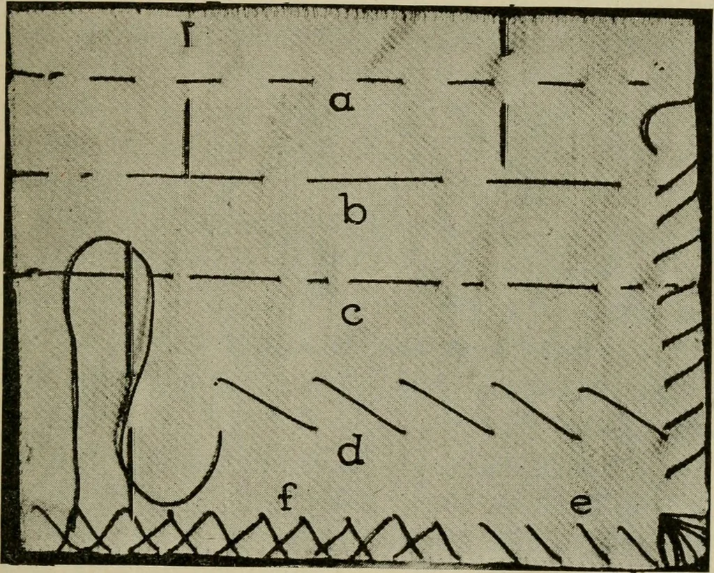 An illustration from Textiles and clothing, 1907, leaf 118