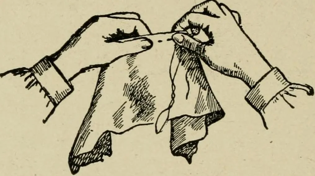 An illustration from Textiles and clothing, 1907, leaf 119