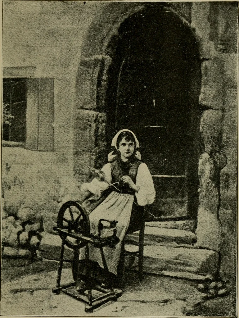 An illustration from Textiles and clothing, 1907, leaf 12