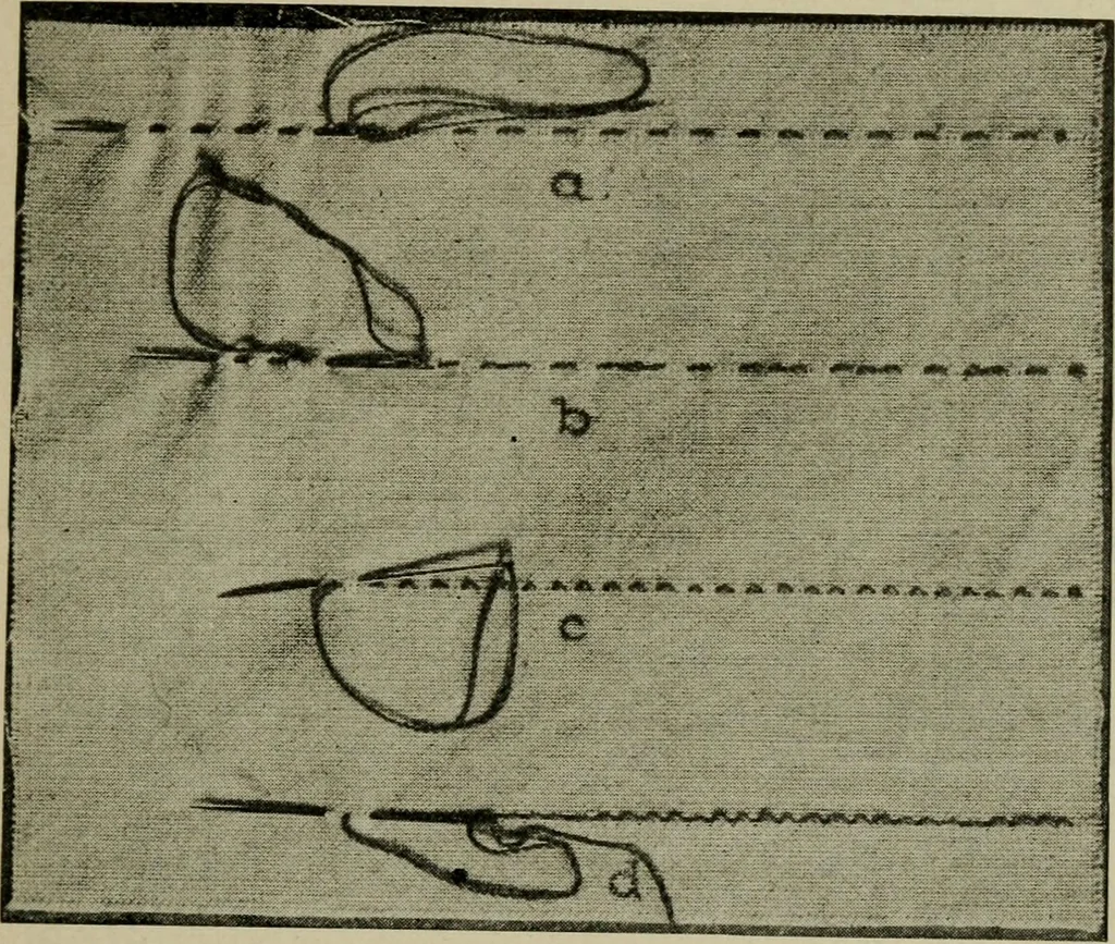 An illustration from Textiles and clothing, 1907, leaf 122