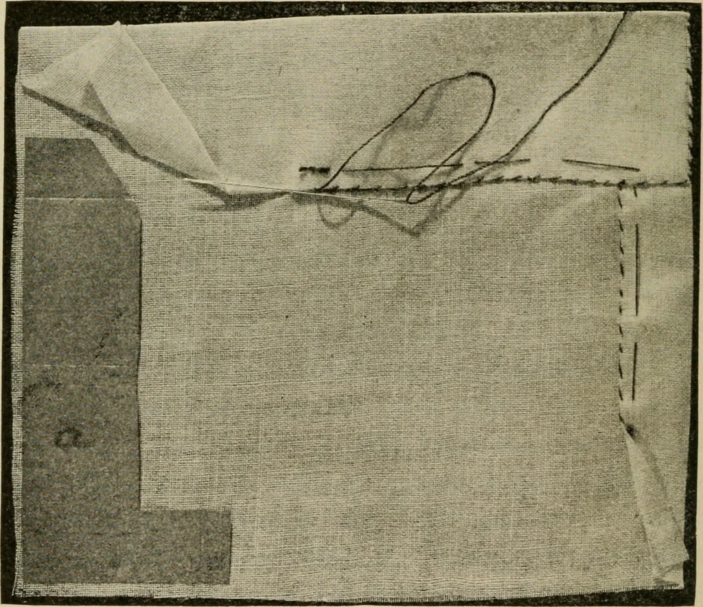 An illustration from Textiles and clothing, 1907, leaf 133