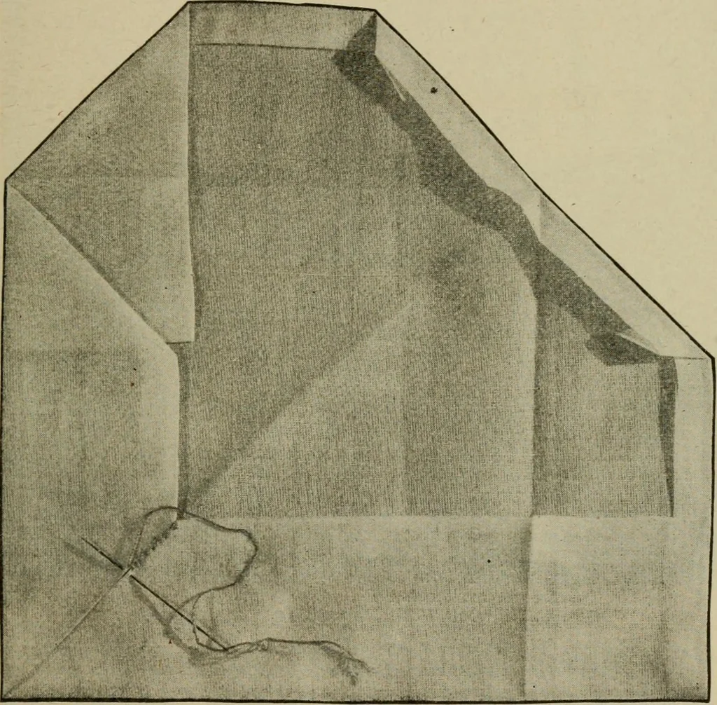 An illustration from Textiles and clothing, 1907, leaf 134