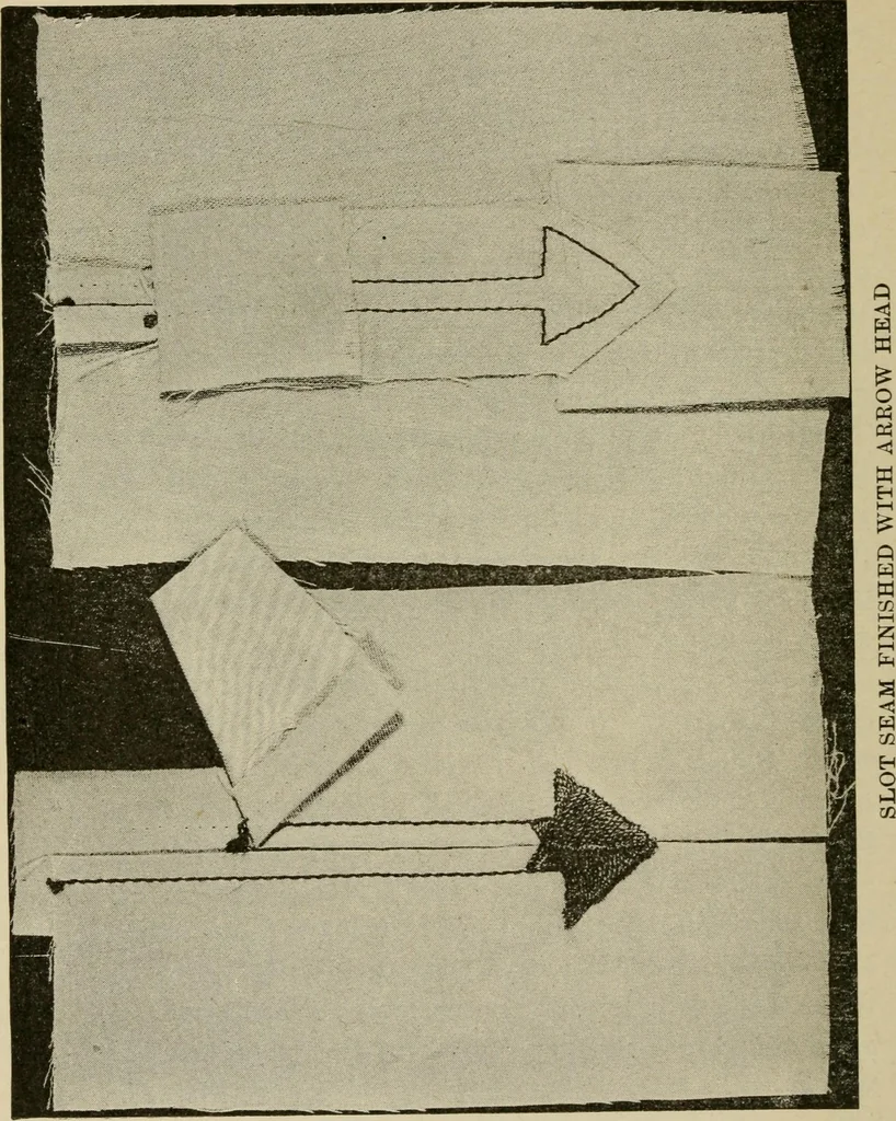 An illustration from Textiles and clothing, 1907, leaf 141