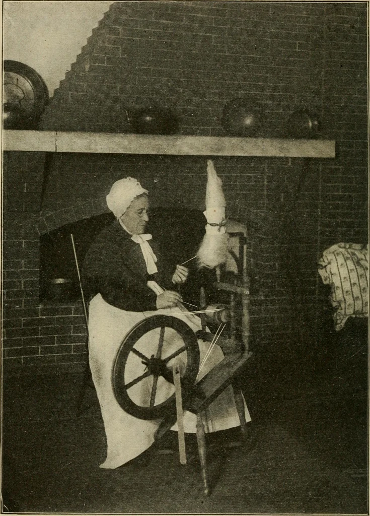 An illustration from Textiles and clothing, 1907, leaf 15
