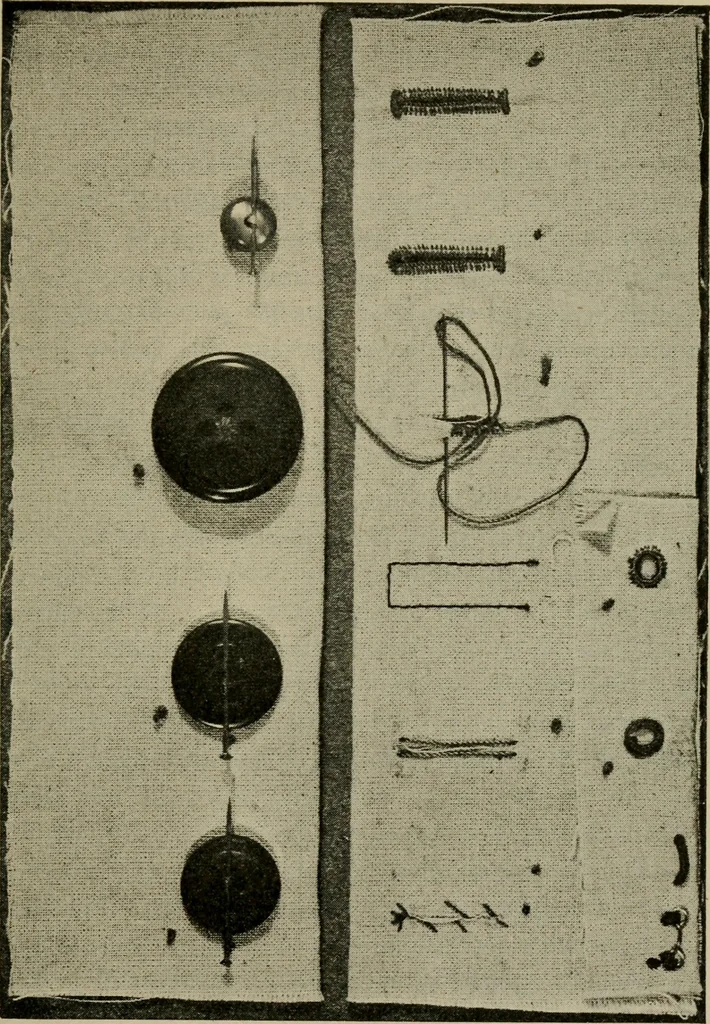 An illustration from Textiles and clothing, 1907, leaf 152