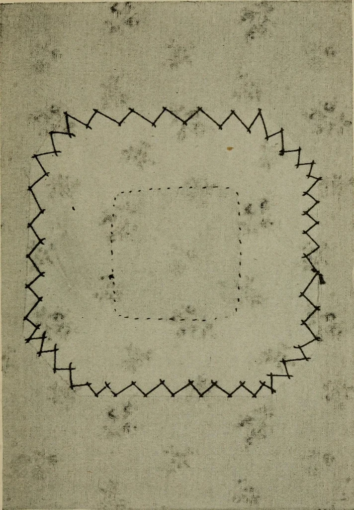 An illustration from Textiles and clothing, 1907, leaf 160