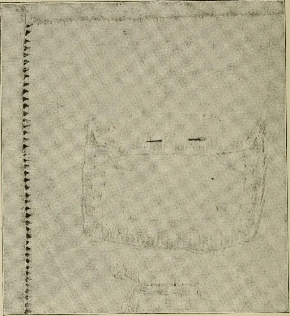 An illustration from Textiles and clothing, 1907, leaf 161
