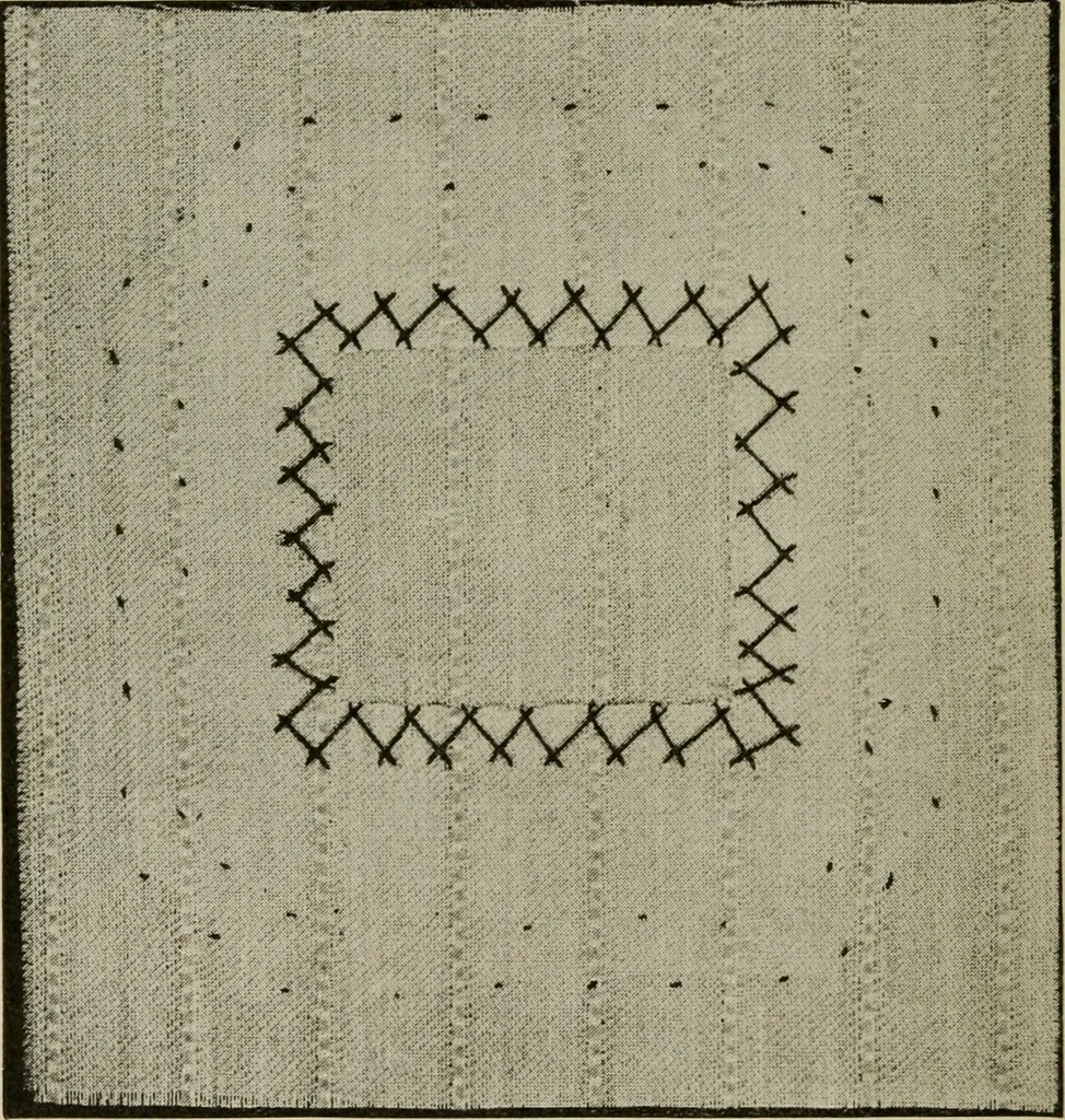 An illustration from Textiles and clothing, 1907, leaf 163