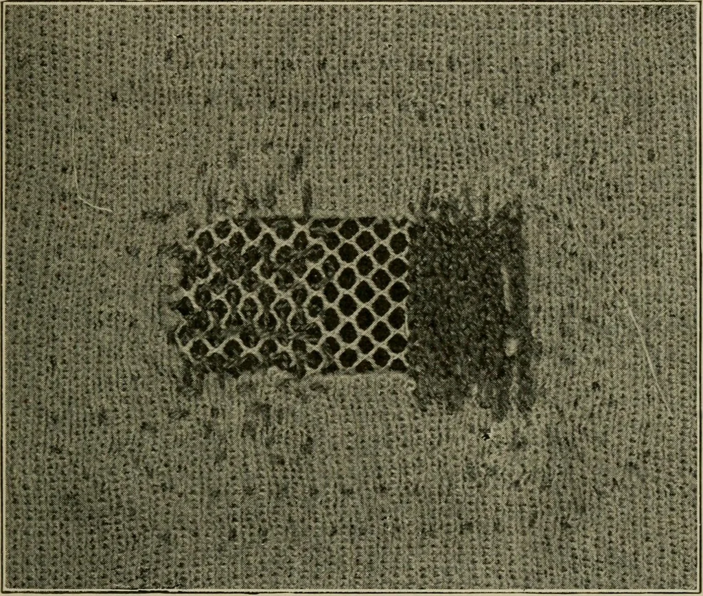An illustration from Textiles and clothing, 1907, leaf 166