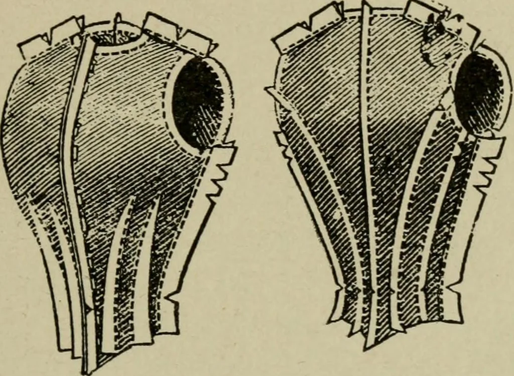An illustration from Textiles and clothing, 1907, leaf 202