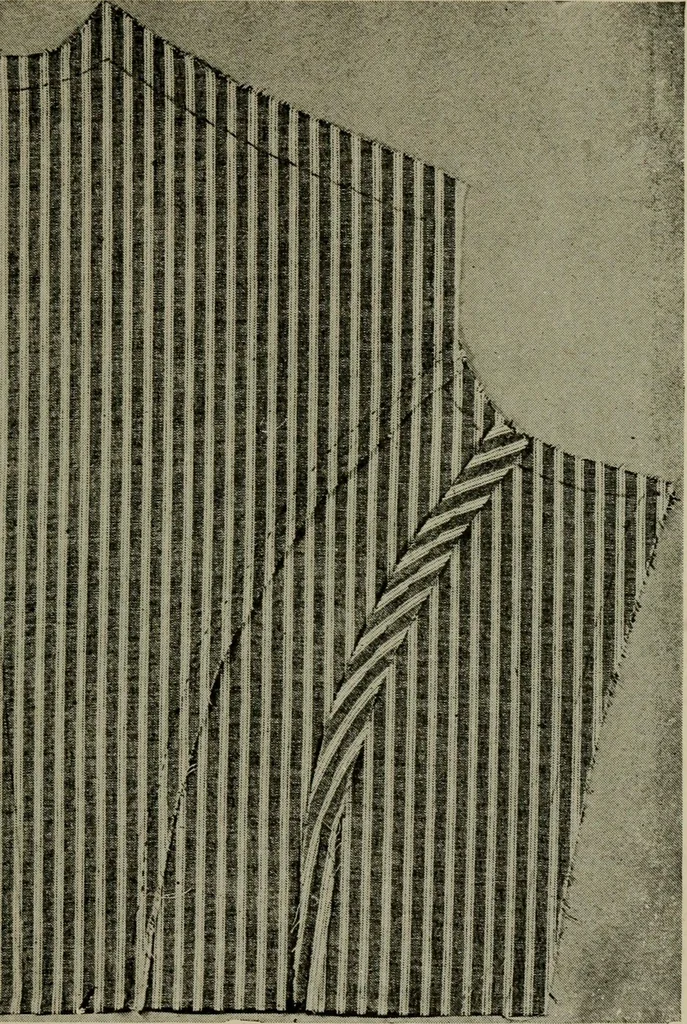 An illustration from Textiles and clothing, 1907, leaf 204