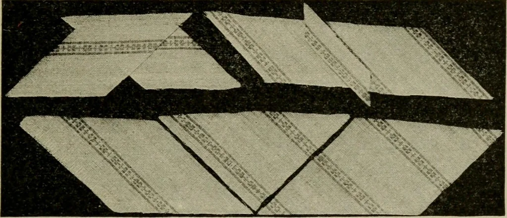 An illustration from Textiles and clothing, 1907, leaf 206