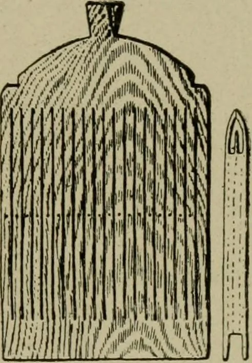An illustration from Textiles and clothing, 1907, leaf 22