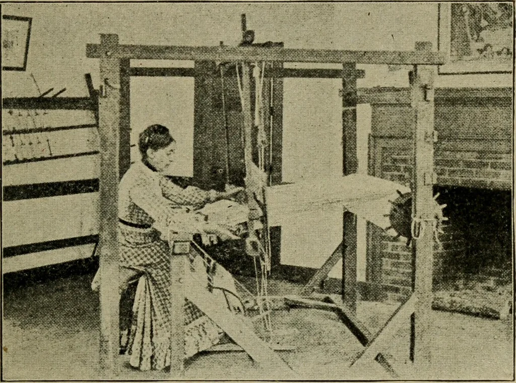 An illustration from Textiles and clothing, 1907, leaf 24