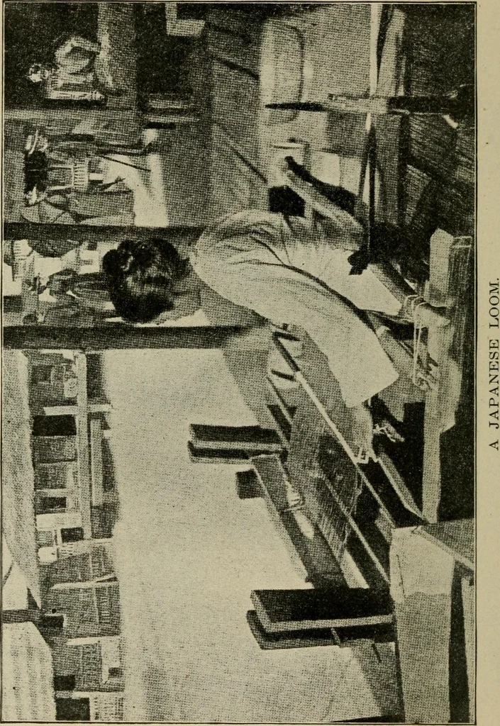 An illustration from Textiles and clothing, 1907, leaf 25