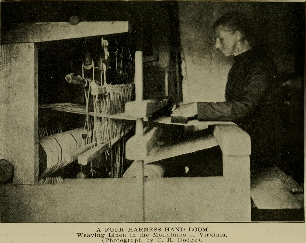 An illustration from Textiles and clothing, 1907, leaf 26