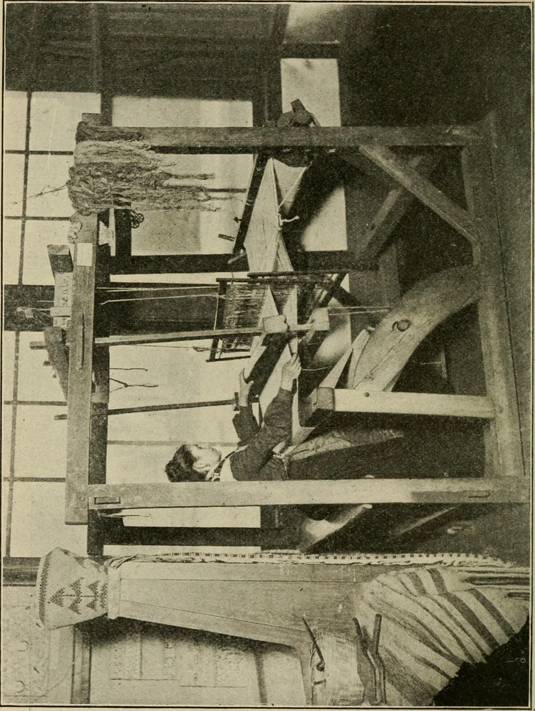 An illustration from Textiles and clothing, 1907, leaf 27