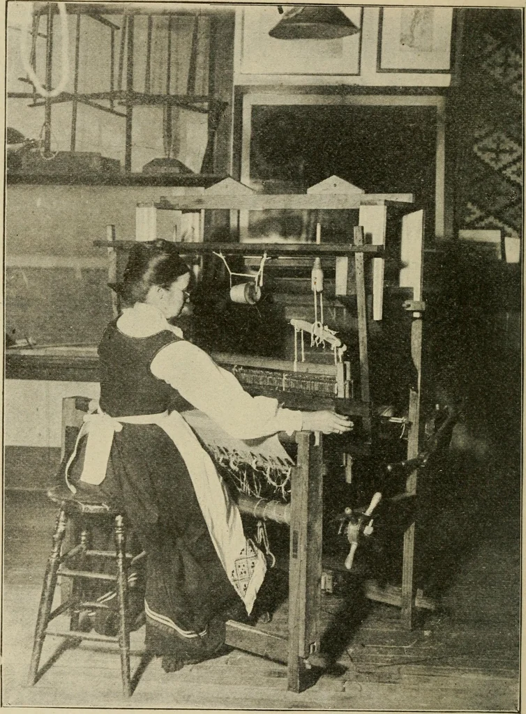An illustration from Textiles and clothing, 1907, leaf 29