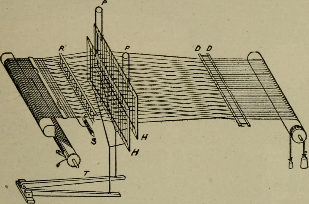 An illustration from Textiles and clothing, 1907, leaf 30